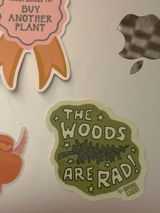 Ariel M. review photo