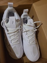 Paulinino review photo
