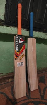 Mayank Shukla review photo