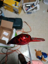 Joe Shinkle review photo