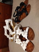 Terri R. review photo