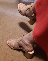 Terri R. review photo