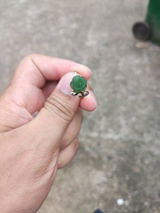 Junfil Kenneth L. Sepe review photo
