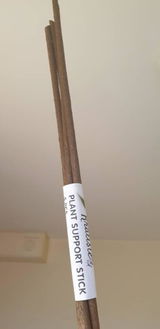Kirstin review photo
