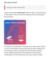 A review photo