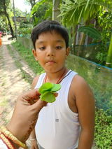 Amiyo Biswas review photo