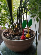 Etsy customer review photo