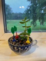 Etsy customer review photo