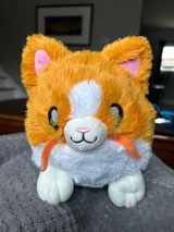 Bridget C. review photo