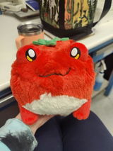 Evren review photo