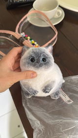 A05:Super Cute Fluffy Siam.