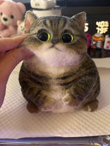 A07:Chubby Yellow-Green Raccoon Cat