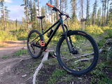 Ivan review photo