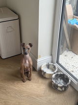 Abbie review photo