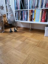 Der T. review photo