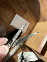 Elma Omerika review photo