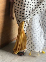 Smita Joshi review photo