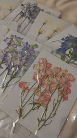 Aubriella review photo