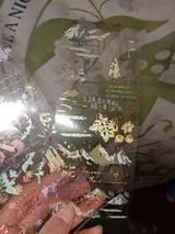 Brynn review photo