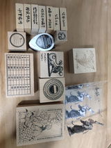 Mina review photo