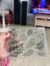 Danna review photo