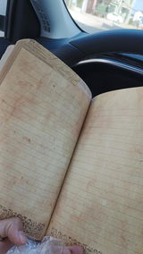 Emerson review photo