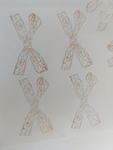 Wrenlee review photo