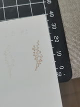 Analia review photo