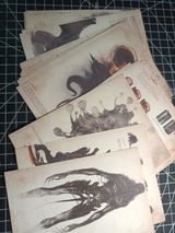 Ana review photo