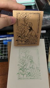 Dream review photo