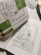 Yaretzi review photo