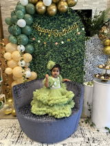 krishna praveena review photo