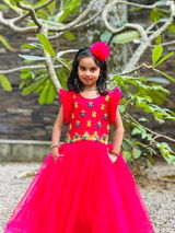 Harikumar review photo