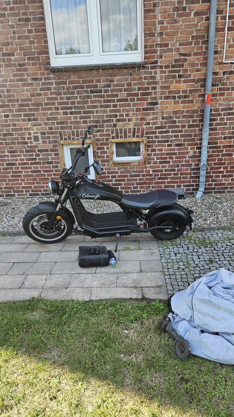 Kundenfoto von Thorsten D. zu 555D Controller Luqi HL6.0s – bis 70 km/h freigeschaltet