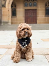 Bona Fido Dog Bandana