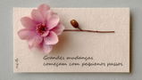 rosa fernandes pires pires review photo