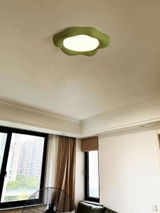 Kelly Shaer review photo