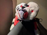 R.P. review photo