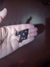 Dominic Miserendino review photo