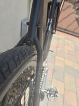FRANK GONZALEZ review photo