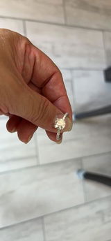 Lari review photo