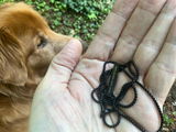 Etsy customer review photo