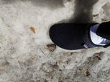 William B. review photo