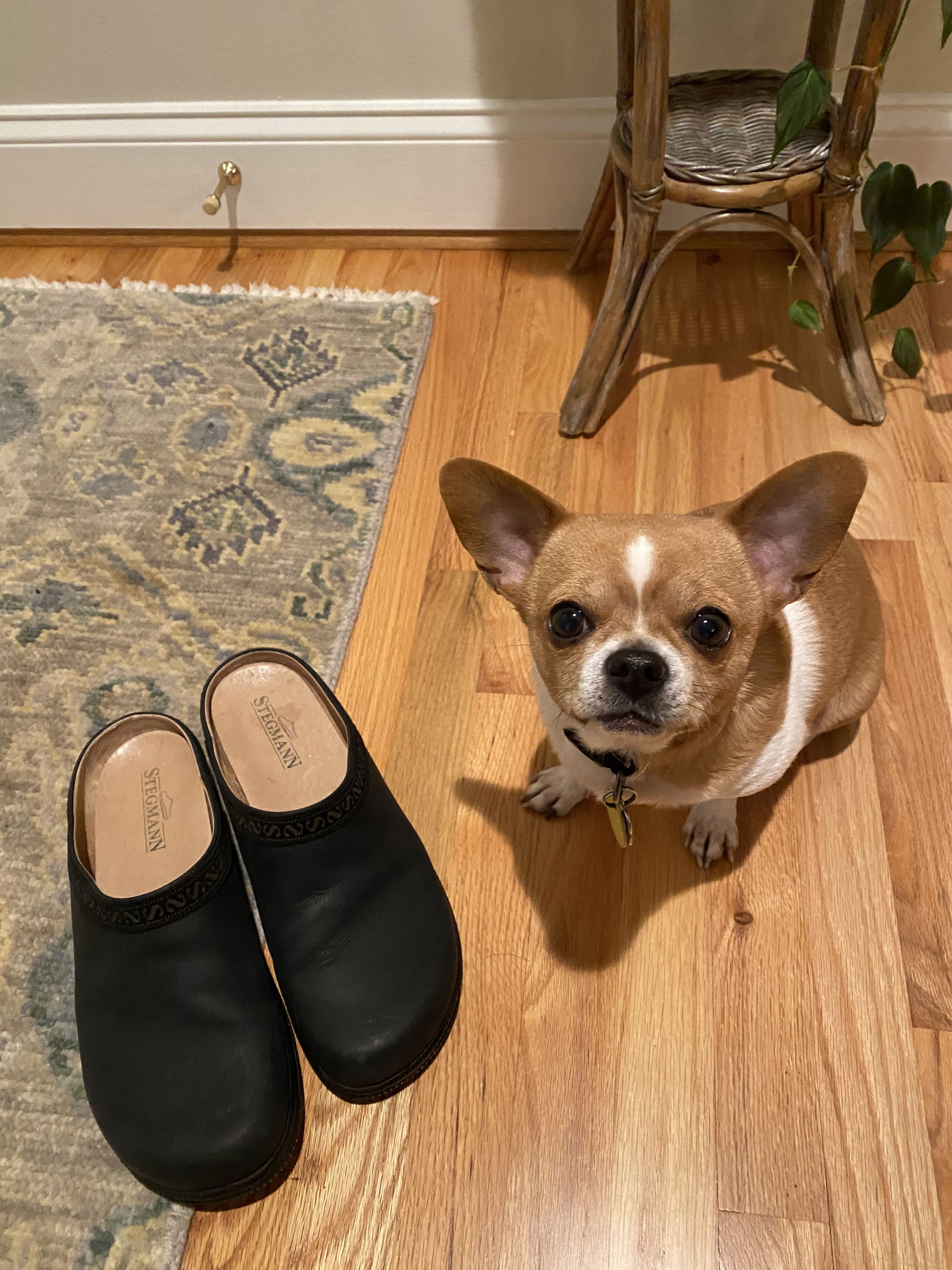 CLANE GRAIN LEATHER CLOGS 最終値下げ Men's Graz Leather Clog with Sport Sole – Stegmann Clogs