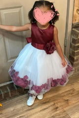Araceli review photo