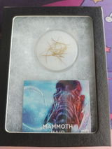 Maia review photo