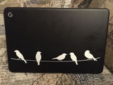 Laurie Schoen review photo