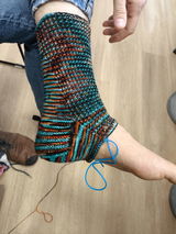 Anat B. review photo