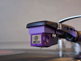Adrian review photo