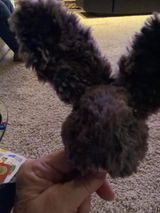 Etsy customer review photo